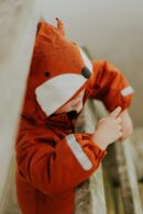 Áo hoodie trẻ em tai cáo — Daiga Ellaby / Unsplash