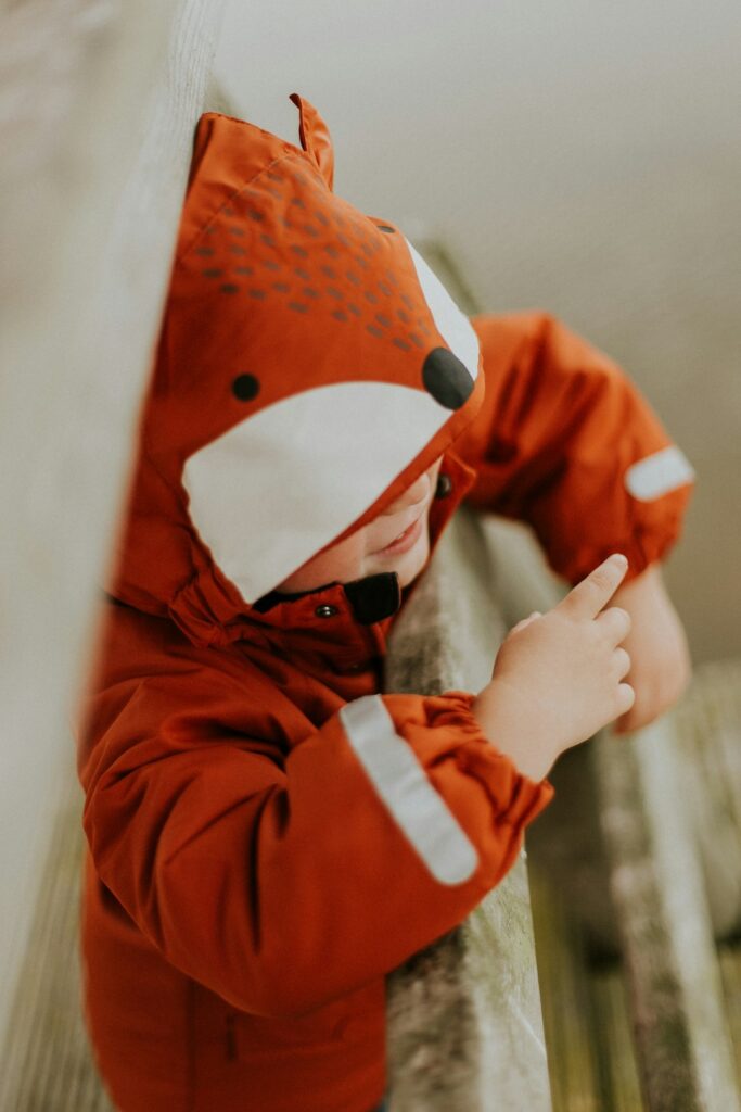 Áo hoodie trẻ em tai cáo